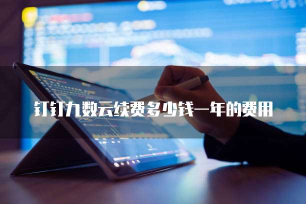 钉钉九数云续费多少钱一年的费用