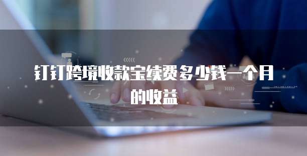钉钉跨境收款宝续费多少钱一个月的收益