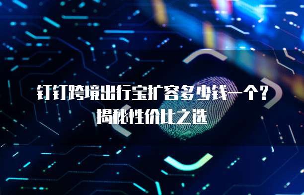 钉钉跨境出行宝扩容多少钱一个？揭秘性价比之选