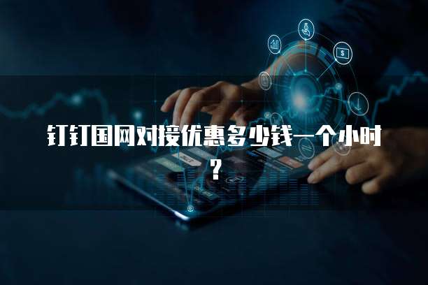 钉钉国网对接优惠多少钱一个小时?