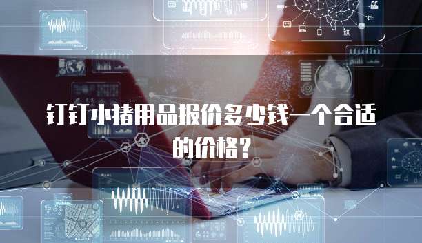 钉钉小猪用品报价多少钱一个合适的价格？