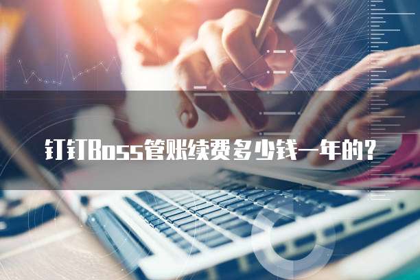 钉钉Boss管账续费多少钱一年的？
