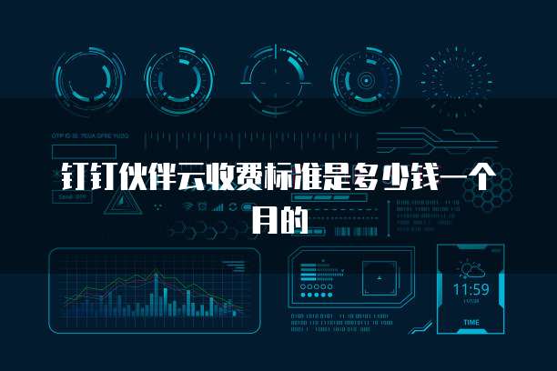 钉钉伙伴云收费标准是多少钱一个月的