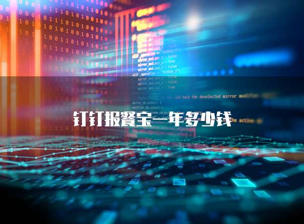 钉钉报餐宝一年多少钱