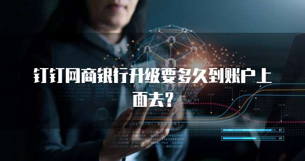 钉钉网商银行升级要多久到账户上面去?