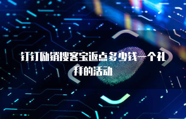钉钉励销搜客宝返点多少钱一个礼拜的活动