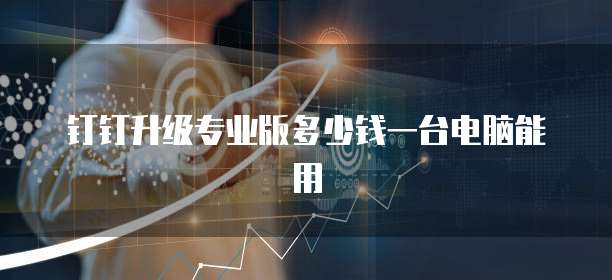钉钉升级专业版多少钱一台电脑能用