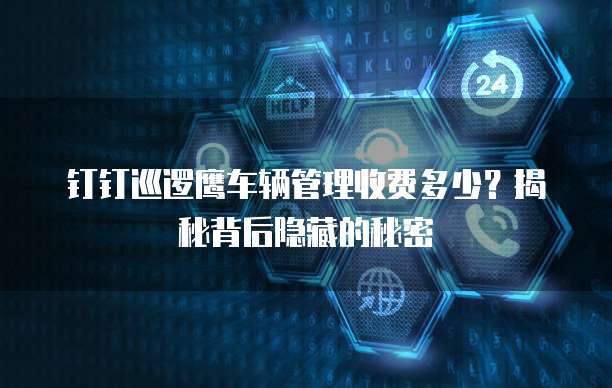 钉钉巡逻鹰车辆管理收费多少？揭秘背后隐藏的秘密