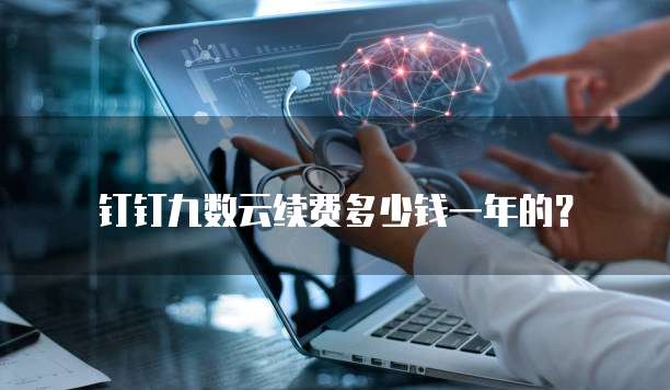 钉钉九数云续费多少钱一年的?