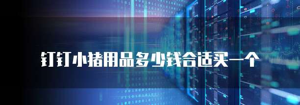 钉钉小猪用品多少钱合适买一个