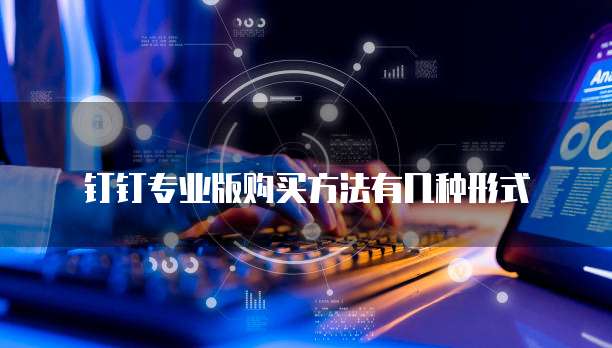 钉钉专业版购买方法有几种形式