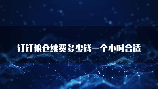 钉钉粮仓续费多少钱一个小时合适