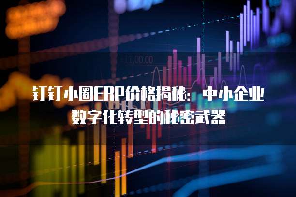 钉钉小圈ERP价格揭秘:中小企业数字化转型的秘密武器
