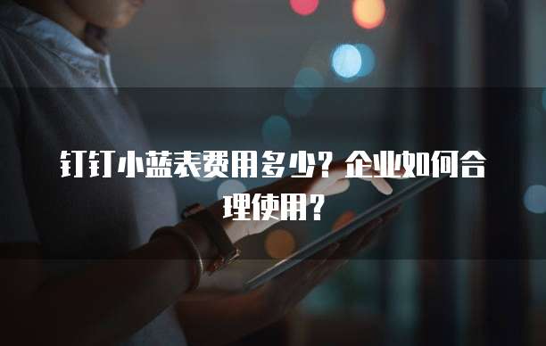 钉钉小蓝表费用多少？企业如何合理使用？
