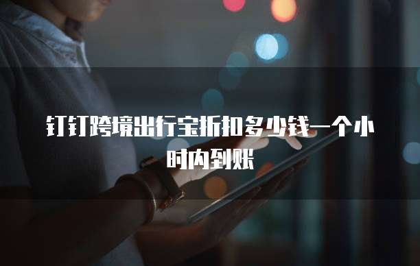 钉钉跨境出行宝折扣多少钱一个小时内到账