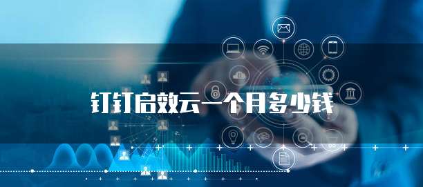 钉钉启效云一个月多少钱