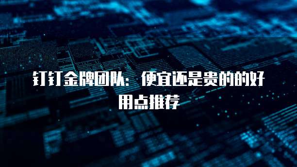 钉钉金牌团队:便宜还是贵的的好用点推荐