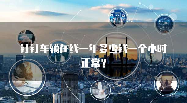 钉钉车辆在线一年多少钱一个小时正常？
