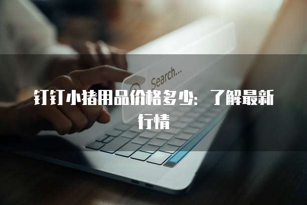 钉钉小猪用品价格多少:了解最新行情