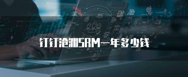 钉钉沧渊SRM一年多少钱
