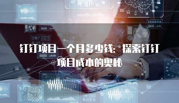 钉钉项目一个月多少钱：探索钉钉项目成本的奥秘