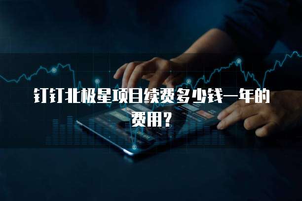 钉钉北极星项目续费多少钱一年的费用？