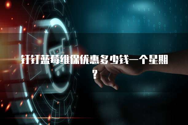 钉钉蓝莓维保优惠多少钱一个星期？