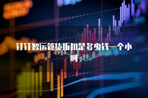 钉钉智运管货折扣是多少钱一个小时