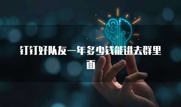 钉钉好队友一年多少钱能进去群里面