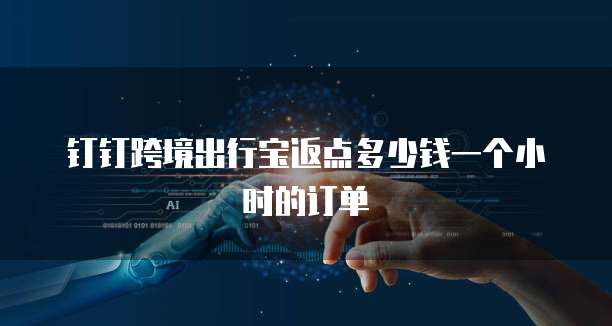 钉钉跨境出行宝返点多少钱一个小时的订单