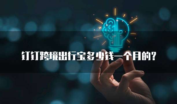 钉钉跨境出行宝多少钱一个月的?