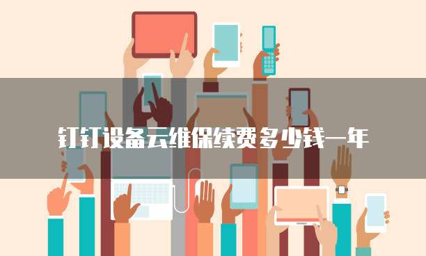 钉钉设备云维保续费多少钱一年
