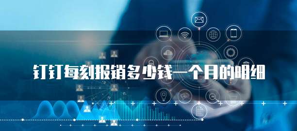 钉钉每刻报销多少钱一个月的明细