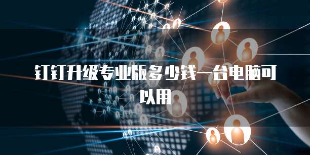 钉钉升级专业版多少钱一台电脑可以用