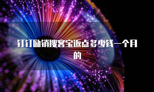钉钉励销搜客宝返点多少钱一个月的