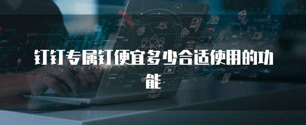 钉钉专属钉便宜多少合适使用的功能