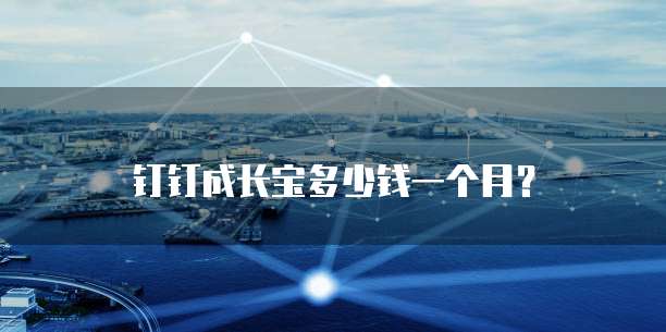钉钉成长宝多少钱一个月？