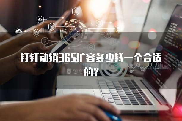 钉钉动销365扩容多少钱一个合适的？