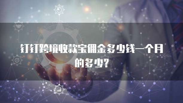 钉钉跨境收款宝佣金多少钱一个月的多少？