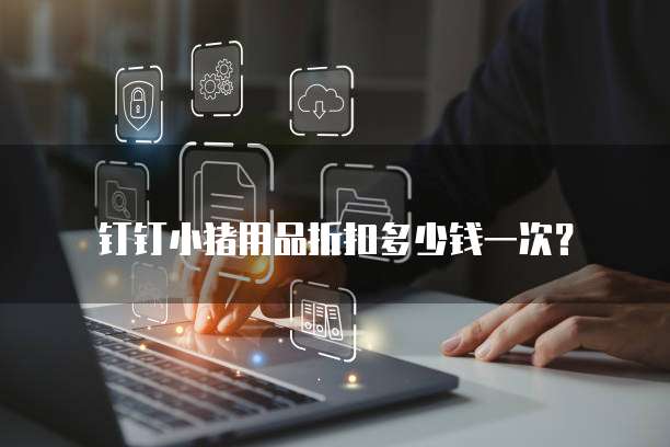 钉钉小猪用品折扣多少钱一次?