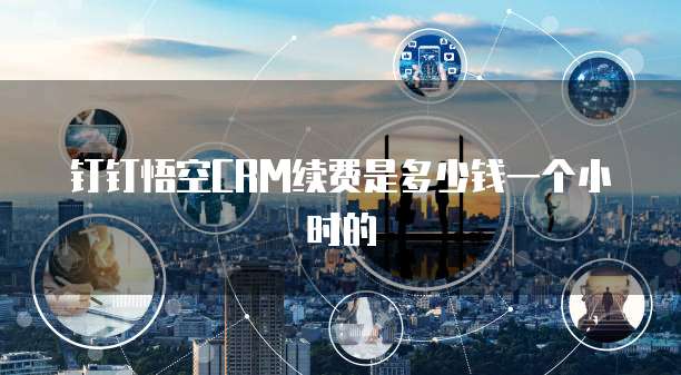 钉钉悟空CRM续费是多少钱一个小时的