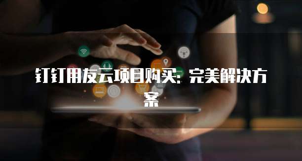 钉钉用友云项目购买: 完美解决方案