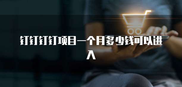 钉钉钉钉项目一个月多少钱可以进入