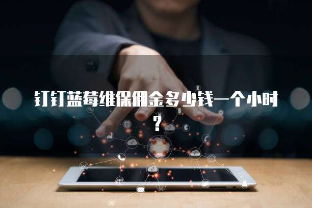 钉钉蓝莓维保佣金多少钱一个小时?