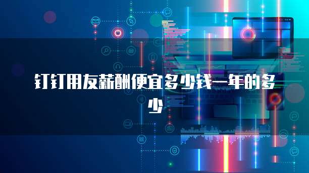 钉钉用友薪酬便宜多少钱一年的多少