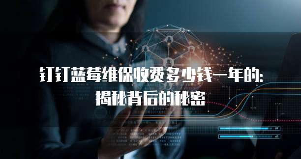 钉钉蓝莓维保收费多少钱一年的:揭秘背后的秘密