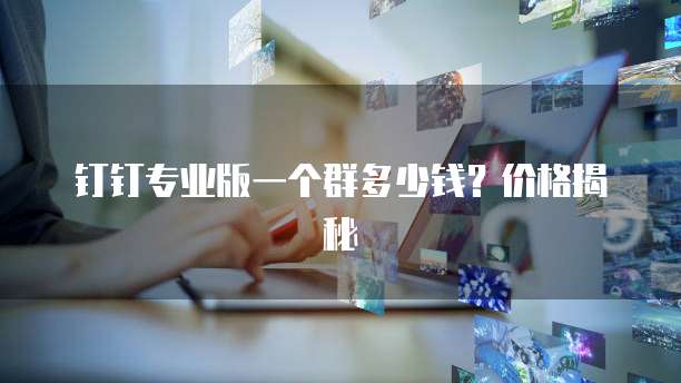 钉钉专业版一个群多少钱？价格揭秘