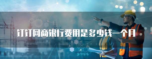 钉钉网商银行费用是多少钱一个月