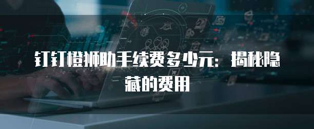 钉钉橙狮助手续费多少元：揭秘隐藏的费用