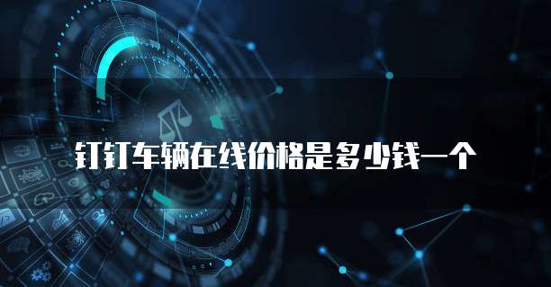 钉钉车辆在线价格是多少钱一个
